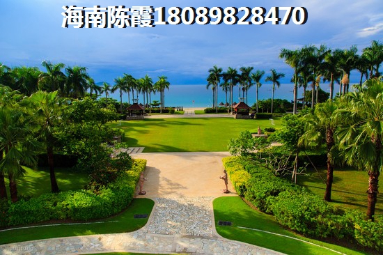 乌鲁木齐哪里的房子生纸快？